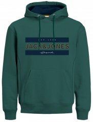 Jack & Jones JORFRIDAY Hoodie Green