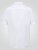 D555 James Cămașă Oxford Cu Mânecă Scurtă TALL Albă - TALL cămăși - 