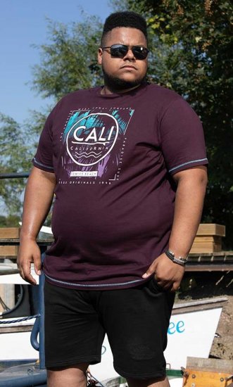D555 NOVA Cali Surf Printed Crew Neck T-Shirt Plum - Tricouri - Tricouri Bărbați Mărimi Mari