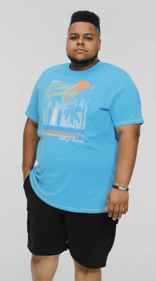 D555 AARON Surfers Paradise Printed Crew Neck T-Shirt Turquoise - Tricouri - Tricouri Bărbați Mărimi Mari