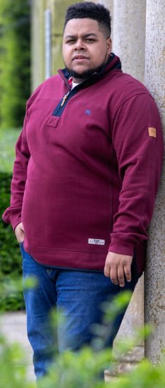 D555 HIRALDO Quarter Neck Pique Fleece Sweatshirt With Chest Embroidery Red - Pulovere & hanorace - Pulovere & Hanorace Bărbați Mărimi Mari