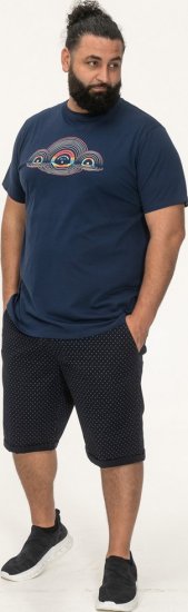 D555 Cheltenham Record With Reflection Printed T-shirt French Navy - Tricouri - Tricouri Bărbați Mărimi Mari