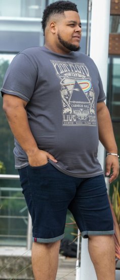 D555 HANLEY Official Pink Floyd Crew Neck T-Shirt Dark Grey TALL SIZES - ÎMBRĂCĂMINTE BĂRBAȚI MT-6XLT - Tall dimensiuni bărbați