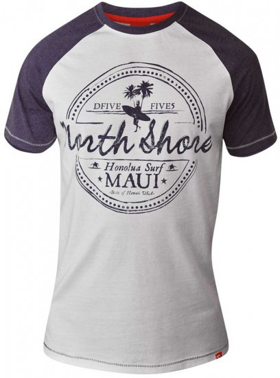 D555 JAYSON Raglan Crew Neck T-Shirt Grey - Tricouri - Tricouri Bărbați Mărimi Mari
