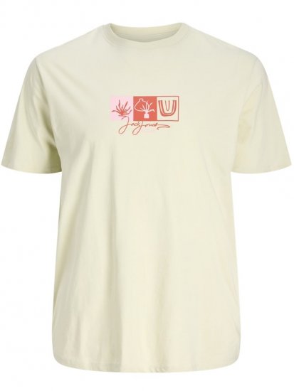 Jack & Jones Canggu Crew Neck T-Shirt Celadon Tint - Tricouri - Tricouri Bărbați Mărimi Mari
