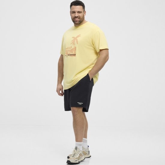 North Latitude T-Shirt Printed Yellow - Tricouri - Tricouri Bărbați Mărimi Mari