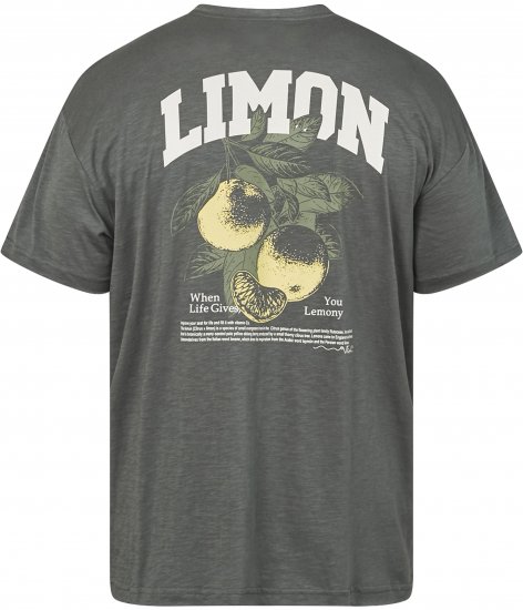 North Latitude 61317 Tricou Slub Cu Imprimeu Pe Spate Verde Prafuit Închis - Tricouri - Tricouri Bărbați Mărimi Mari
